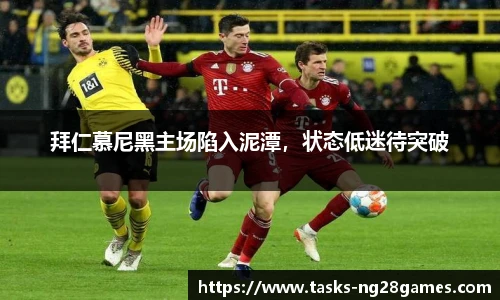 南宫NG28